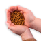 Nature's Protection Superior Care Red Coat Grain Free Salmon Junior Small Breeds Сухий беззерновий корм для юніорів малих порід з рудим забарвленням з лососем, 1.5, 10кг