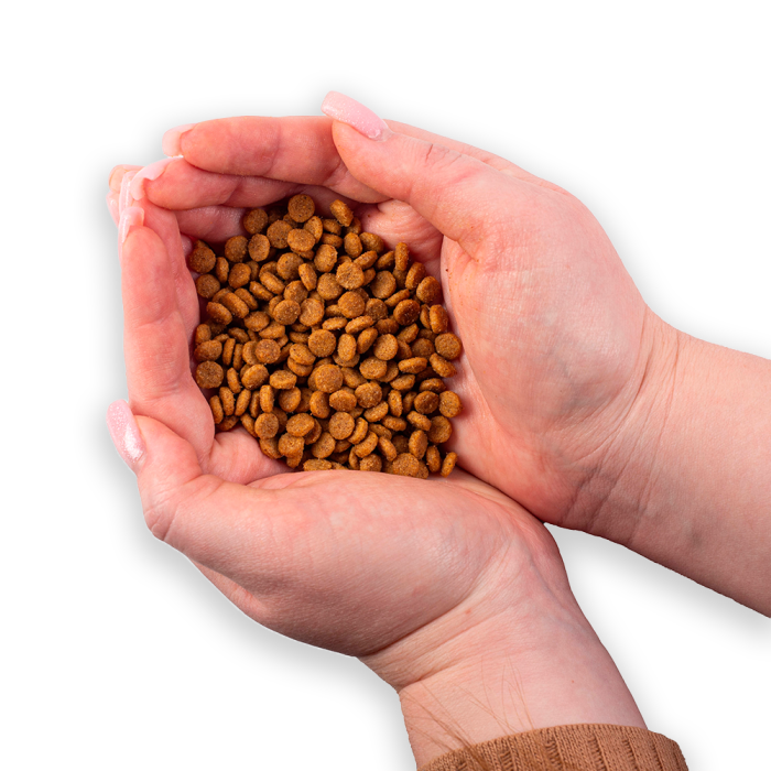 Nature's Protection Superior Care Red Coat Grain Free Salmon Junior Small Breeds Сухий беззерновий корм для юніорів малих порід з рудим забарвленням з лососем, 1.5, 10кг